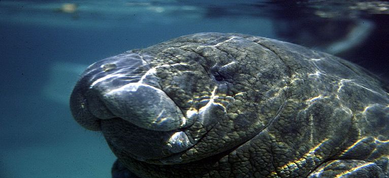 image11