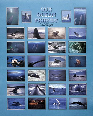 ocean friends poster